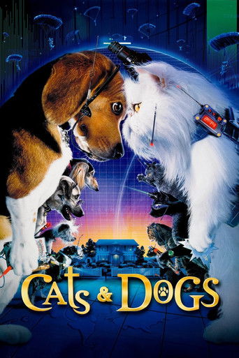 Cats Dogs