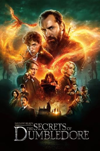 Fantastic Beasts The Secrets of Dumbledore
