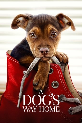 A Dog s Way Home